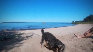 Под лоном природы