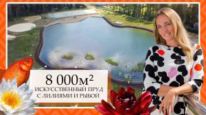 Озеленение большого искусственного пруда с рыбой и лилиями