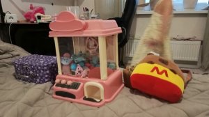 игрушки Камиллы