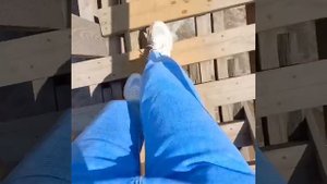 ЭПИЧНЫЙ ПЕРЕХОД #популярно #видео #река #природа #красота #мощь