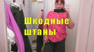 ПРИВЕТ РАБОТА /ШКОДНЫЕ ШТАНЫ /11 и 12 августа 2025