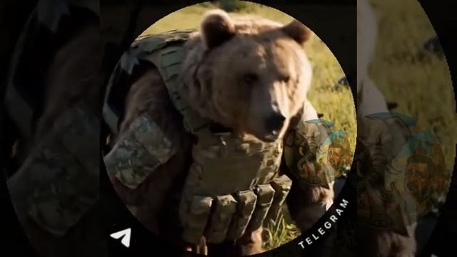 Как разминировать посадку