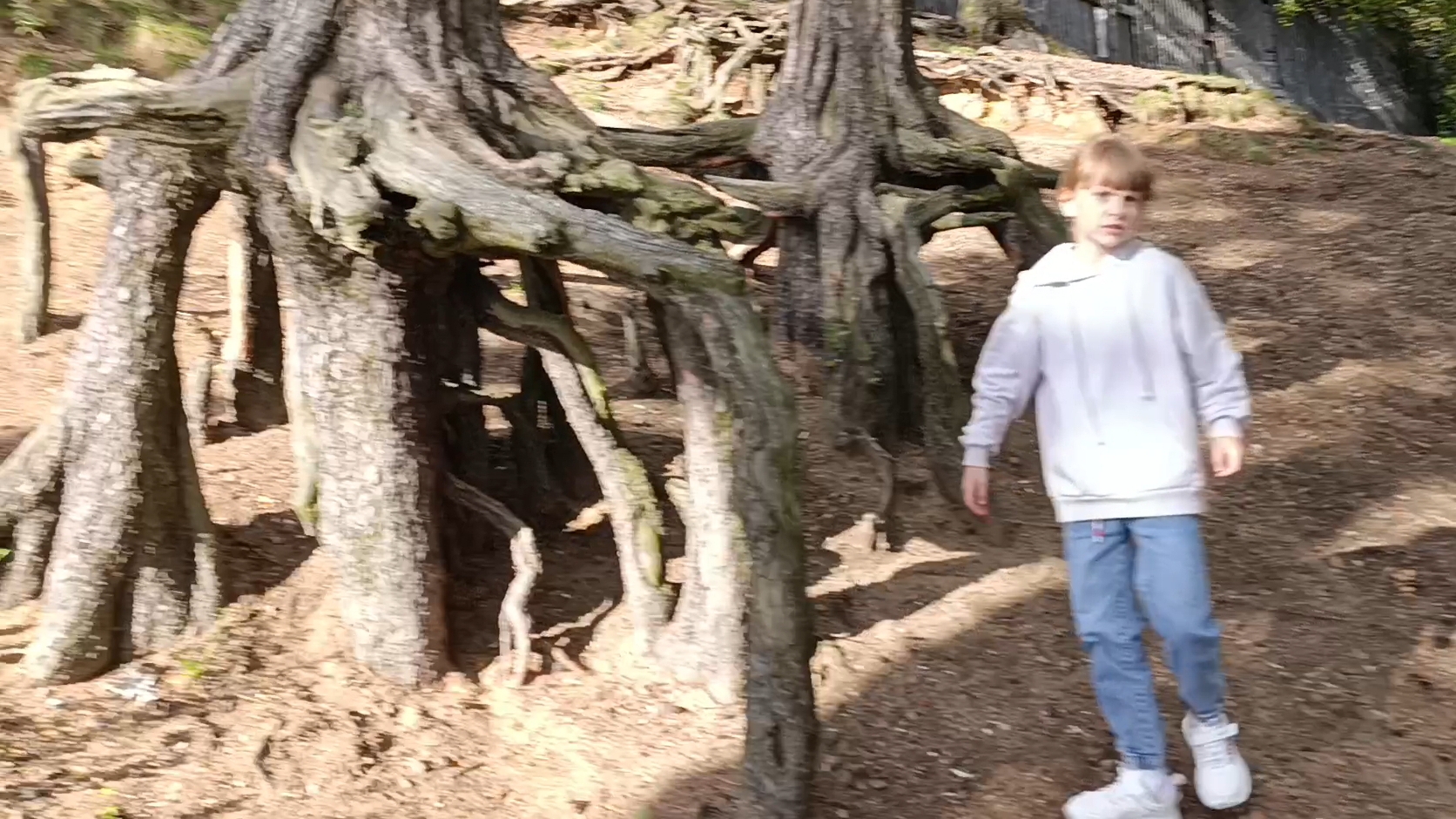 Еду к детям// Необычная прогулка по Питерским " достопримечательностям"