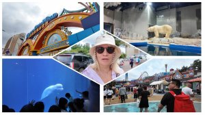 Далянь океанариум SunAsia Ocean World полное прохождение Шэн Я Шенья Shengya 2025