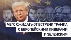 «Если предложений о мире у них нет, то это их проблема»: эксперт о встрече лидеров ЕС с Трампом