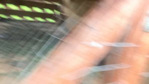 Кормим кроликов 🐰🍀