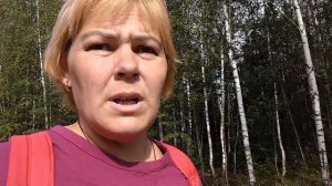 Санкт-Петербург//а вы такое и не знали  и НАША ПОЕЗДКА В Гатчину