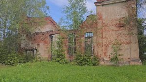 Неожиданная находка в лесу на ниве