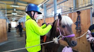 В гостях у конно-спортивного клуба «Мустанг»