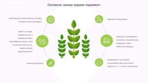Видео - лекция №3.1. Охрана и рациональное использование природных ресурсов.