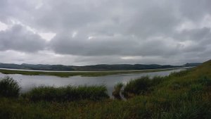 Спиннинг.Щуки и окуни.