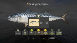 Русская рыбалка 4 - Вечерний стрим. РР4. Исследуем наживки на Норвежском море.