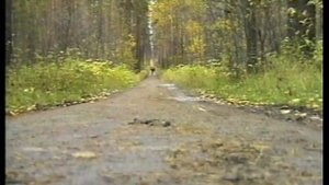 гр.Рок-Острова. КОСТРЫ.