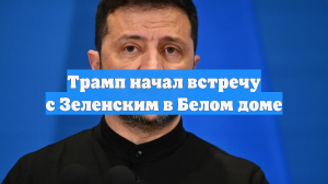 Трамп начал встречу с Зеленским в Белом доме