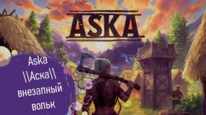 Aska\\Аска\\внезапный вольк