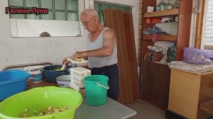 Груша поспела, у Коли свои интересы 😉спасаем урожай//отвечу на комментарии