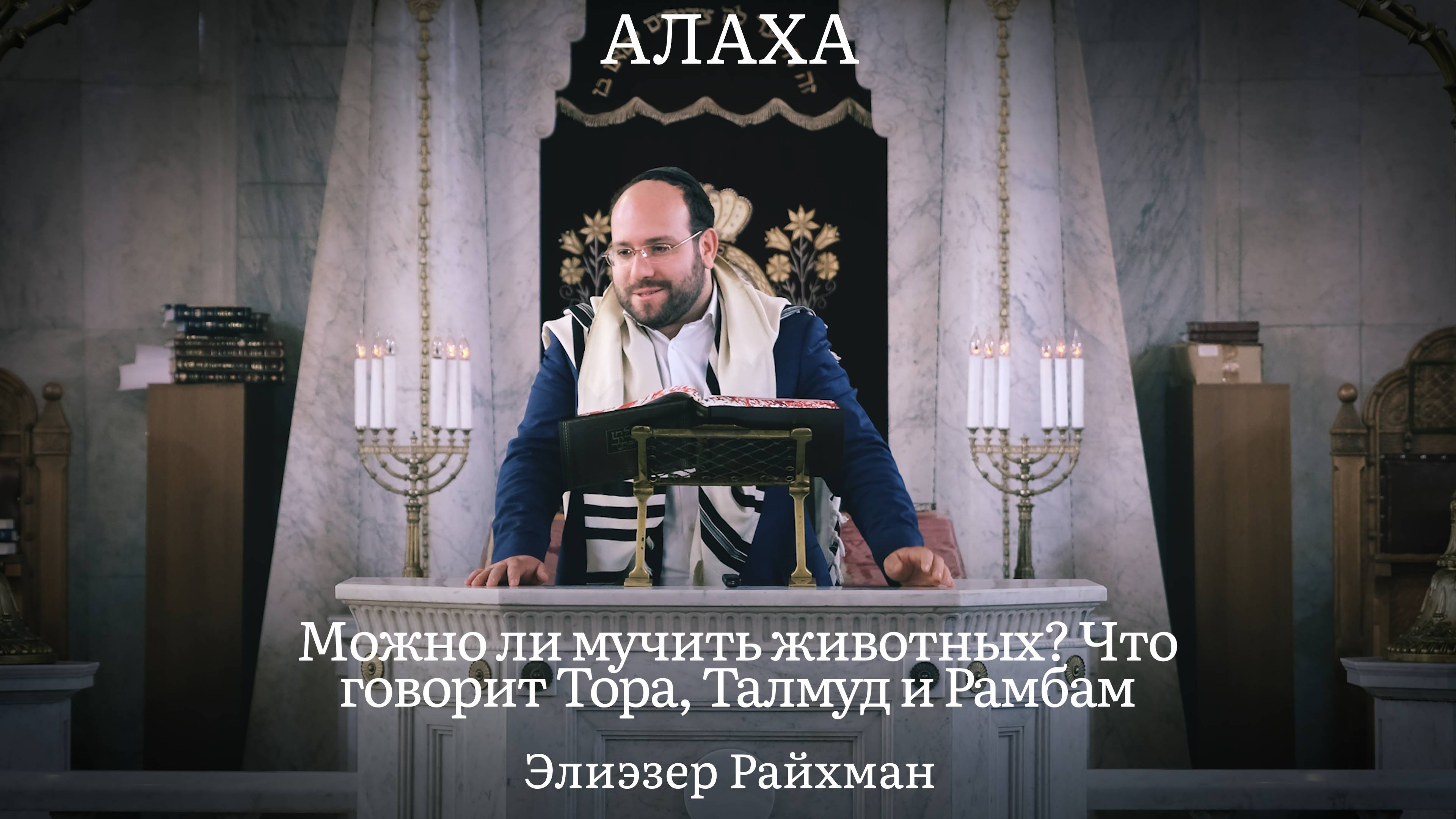 Можно ли мучить животных? Что говорит Тора, Талмуд и Рамбам