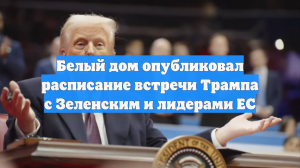 Белый дом опубликовал расписание встречи Трампа с Зеленским и лидерами ЕС
