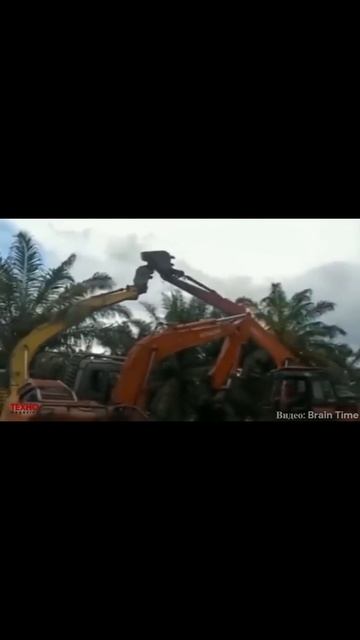 Битва Экскаваторов / Кто Кого смотреть онлайн