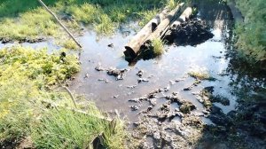 18.08.25. утро, вода пришла, но уже меньше ее🙂