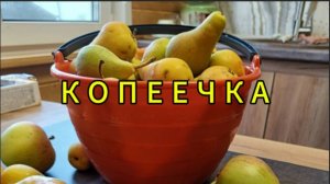 Копеечка