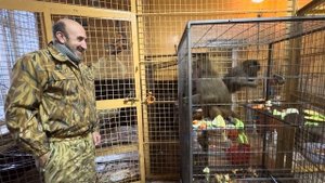 Люся розой вся в мать Донну Розу, но тут и Манечка на подходе, взрослеют девчонки)))