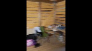 череда событий)  всё смешалось)