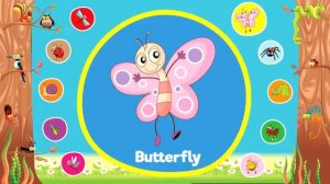 Bugs and Insects|Video Flash Cards