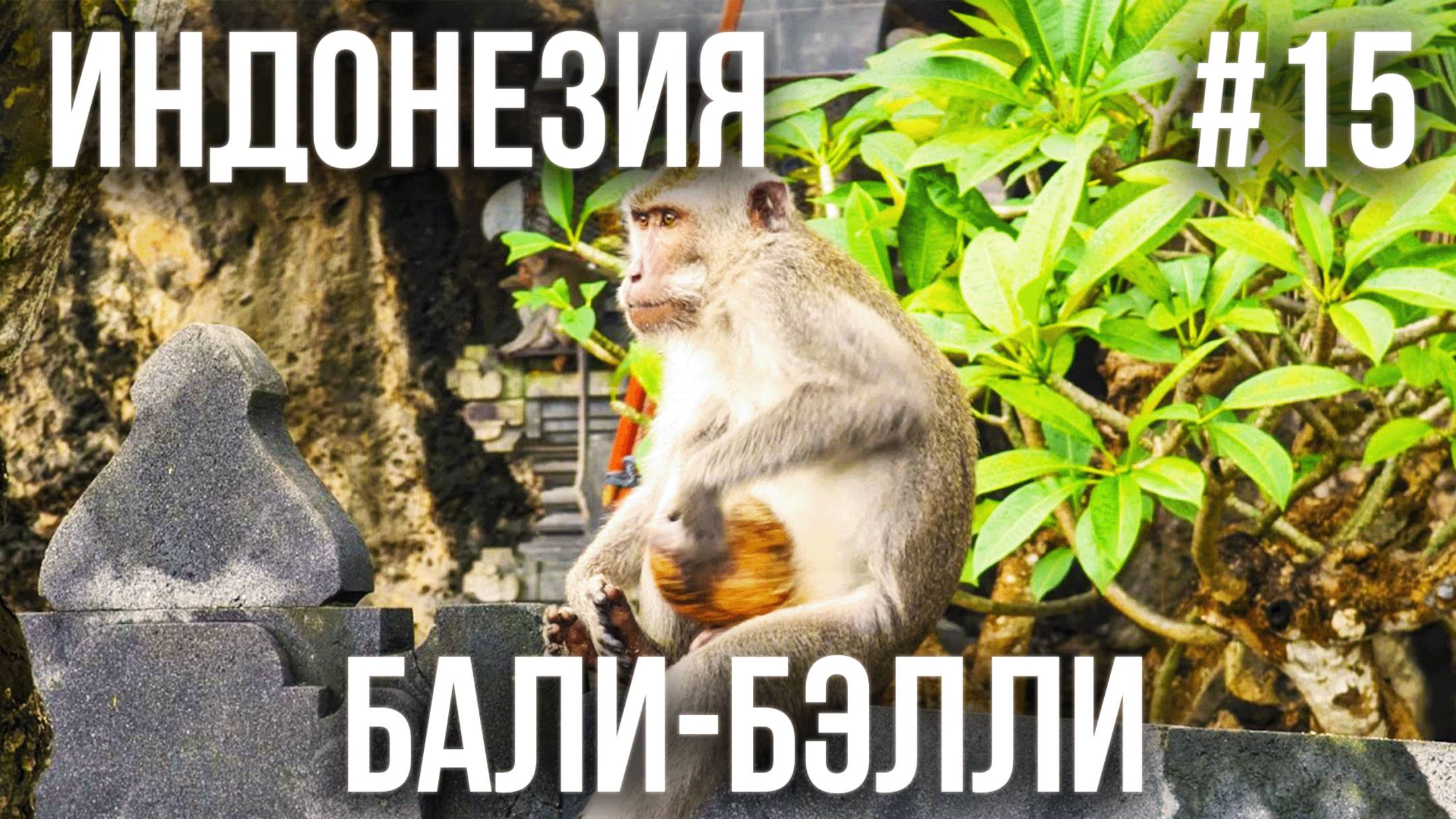 ИНДОНЕЗИЯ 2025 #15. ПЛЯЖ МЕЛАСТИ. НЕУДАЧНЫЙ ДЕНЬ. БАЛИ-БЭЛЛИ. ТЕЛЕМЕДИЦИНА