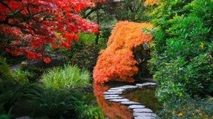 Музыка для сна, Музыка для снятия стресса, Успокоение