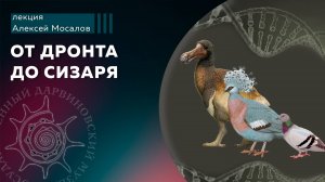 От дронта до сизаря