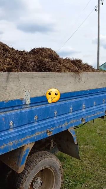 Удобрение | Fertilizer