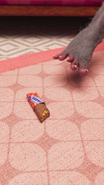 Noodle and Bun 🐕🐈⬛ смотреть онлайн