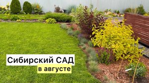 Большая прогулка по сибирскому саду!