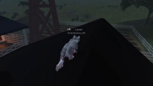 ЗАХОДИМ НА СХОДКУ!