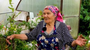 Өлкән яшьтәге бакчачы