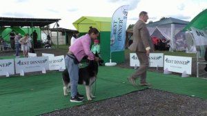 Бест Вео Лайн Нирвана