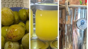 Прибираю картофельные гряды,фрукты осыпаются. Автоклавирую куриный жир.