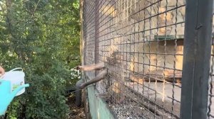 Люся просит Алину помочь ей разобраться с Лидой и вернуть Елисея