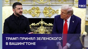 Встреча Трампа с Зеленским