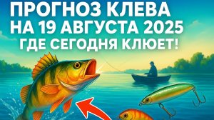 Прогноз клева рыбы на 19 августа 2025 | Где и когда ловить сегодня