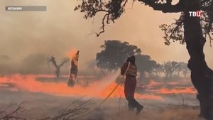 В Испании объявлена массовая эвакуация жителей из-за лесных пожаров / События на ТВЦ