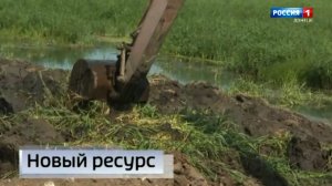 Об использовании ила в качестве удобрения