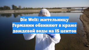 Die Welt: жительницу Германии обвиняют в краже дождевой воды на 15 центов