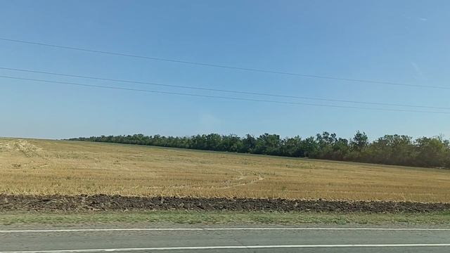 Гигант Сальск поля дорога