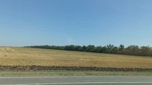 Гигант Сальск поля дорога