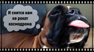 Будни питомника. Наши гости на летних каникулах.