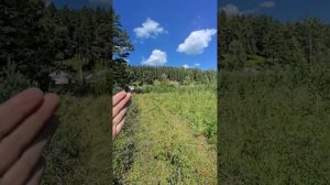 Продается участок в Иркутске на берегу реки Ушаковка