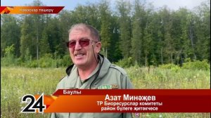 Төлкегә тозак