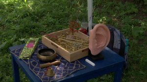 Первый семейный оздоровительный фестиваль в Люберцах